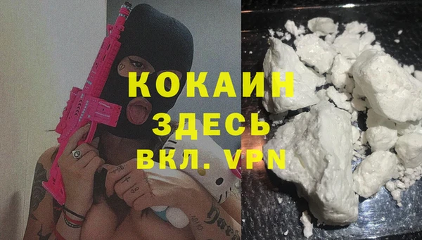 мяу мяу мука Гусев