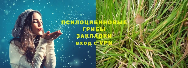 дурь Гусиноозёрск