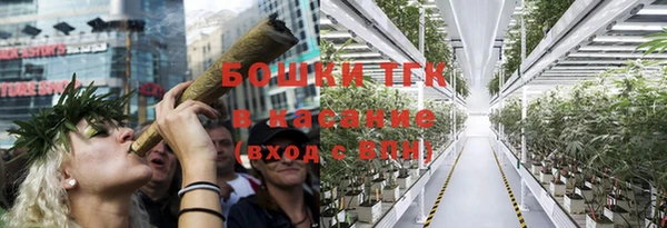 мяу мяу мука Гусев