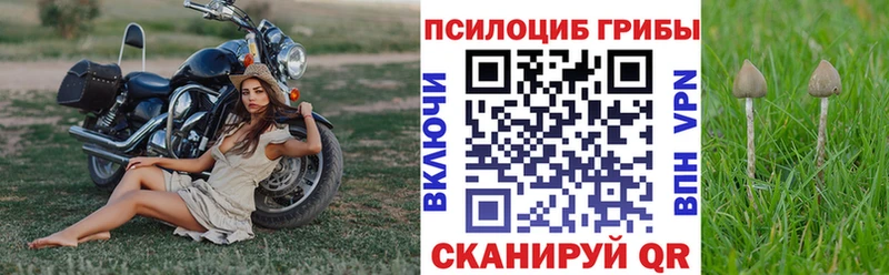 площадка состав Заозёрный Галлюциногенные грибы MAGIC MUSHROOMS где найти наркотики